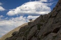 Mountain Goats Climbing on Mt. Evans Royalty Free Stock Photo