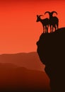 Mountain goats at sunset cliff vector silhouette lanscape