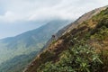 Mountain with golden grass along the way with old log fences and moving clouds at Kew Mae Pan Mountain Ridge in Chiang Mai. Royalty Free Stock Photo