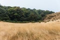 Mountain with golden grass and green shrub with woods in background along the way to Kew Mae Pan in Chiang Mai, Thailand Royalty Free Stock Photo