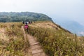 Mountain with golden grass and green shrub with woods in background and bamboo fence along the way to Kew Mae Pan in Chiang Mai Royalty Free Stock Photo