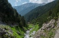 Mountain gorge with a green forest