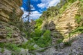 Mountain gorge with layered rocks and coniferous trees