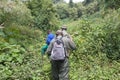 Mountain gorilla Trekking in the forest Royalty Free Stock Photo