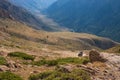 Mountain gravel road with ATV quadbike. Kapalskiy vzvoz mountain pass. Road to Burkhan-bulak waterfall. Travel, tourism in Royalty Free Stock Photo