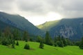 Mountain Green field