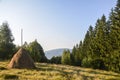 Mountain green meadow with stack of hay in the Carpathian forest. Mountains visible to the horizon. Royalty Free Stock Photo