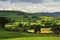 Mountain hay fields, Cumbria Royalty Free Stock Photo