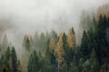 Mountain haze Royalty Free Stock Photo