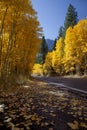 Mountain Highway and Aspens