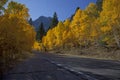 Mountain Highway and Aspens Royalty Free Stock Photo