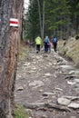 Mountain hiking concept. hikers walking on a mountain trail. Royalty Free Stock Photo