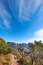 Mountain hiking dirt trail with copy space, green plants and paragliders gliding over a city. Landscape view of a scenic