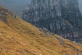 Mountain hiking, path to a Old Man of storr - Scotland Royalty Free Stock Photo