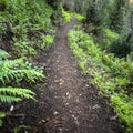 Mountain hiking trail in Big Sur California