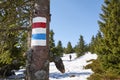 Mountain hiking trail marking on a tree trunk