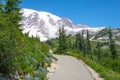 Mountain Hiking Trail Snow Wildflowers