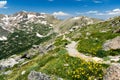 Mountain Hiking Trail Through Wildflowers Royalty Free Stock Photo