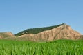 Mountain hill behind green field near Valdenoches, Guadalajara, Spain. Popular destination for weekend trips. Beautiful vivid