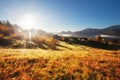 Mountain hill at sunny morning Royalty Free Stock Photo
