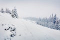 Mountain hills after a huge blizzard. Splendid outdoor scenewith snow covered fir trees, Happy New Year celebration concept. Royalty Free Stock Photo