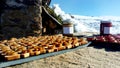 Mountain honey and jam on a slate tray out of a mountain hut on a sunny day - hand getting for tasting