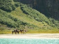 Mountain horse ride Royalty Free Stock Photo