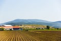 Mountain, house and farm