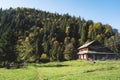 Mountain house among huge pine trees