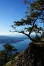Mountain island vista with tree Royalty Free Stock Photo