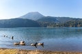 Mountain Kirishima and lake Royalty Free Stock Photo