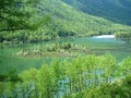 Mountain lake Royalty Free Stock Photo