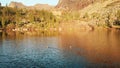 Mountain lake against the background of rocks, ducks swim on the water.