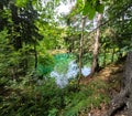 A mountain lake with blue water surrounded by trees. Kolorowe Jeziorka, Karkonosze Mountains