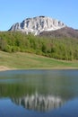 Mountain lake in Bosnia Royalty Free Stock Photo