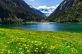 Mountain lake with bright yellow flowers in foreground. Stillup lake, Austria, Tirol Royalty Free Stock Photo