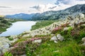 Mountain lake Bucura, in Retezat, Romania, Europe Royalty Free Stock Photo