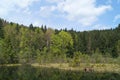 Mountain lake with clear calm water near a tall green forest Royalty Free Stock Photo