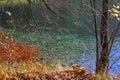 Mountain lake with clear water around the autumn forest in the Alps. Royalty Free Stock Photo