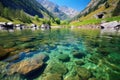 a mountain lake with clear water revealing spotted trout Royalty Free Stock Photo