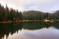 mountain lake among coniferous forest in autumn Royalty Free Stock Photo