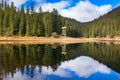 mountain lake among coniferous forest Royalty Free Stock Photo