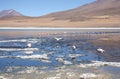 Mountain lake with flamingos in Bolivia