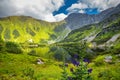 Mountain lake with flowers in foreground in Rohace area of the T