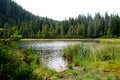 A mountain lake. Fog in mountains, fantastic morning foggy scenery, hills covered beech forest, Ukraine, Carpathians, discover Royalty Free Stock Photo