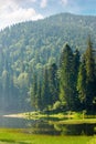 Mountain lake among the forest in morning light Royalty Free Stock Photo