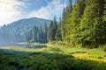 mountain lake among the forest in morning light Royalty Free Stock Photo