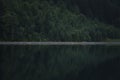 mountain lake. forest near the lake. forest in the mountains. clean water. reflection in water Royalty Free Stock Photo