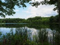 Mountain Lake Framed by Trees and Brush