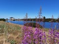 Mountain lake and hut on the horizon with beautiful pink flowers and blue sky Royalty Free Stock Photo